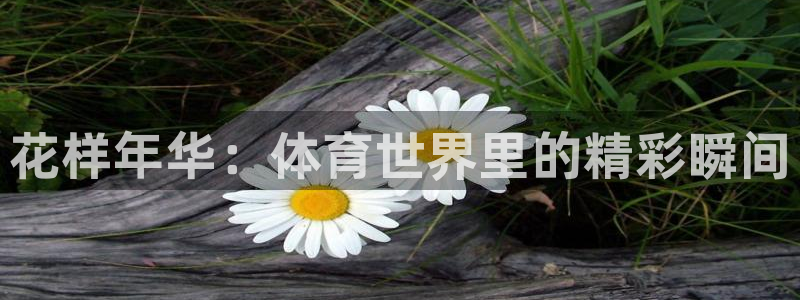 利记官网下载招商电话号码：花样年华：体育世界里的精彩