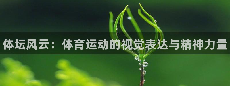 利记官方正版app娱乐：体坛风云：体育运动的视觉表达