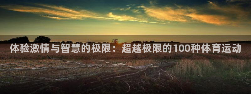 海南利记官网下载：体验激情与智慧的极限：超越极限的1