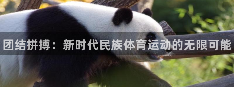 利记官网下载平台注册要钱吗：团结拼搏：新时代民族体育