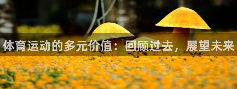 利记官网下载联系电话：体育运动的多元价值：回顾过去，