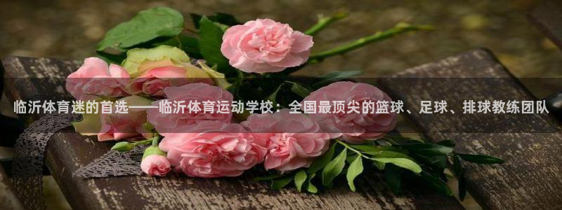 利记官网下载软件：临沂体育迷的首选——临沂体育运动学