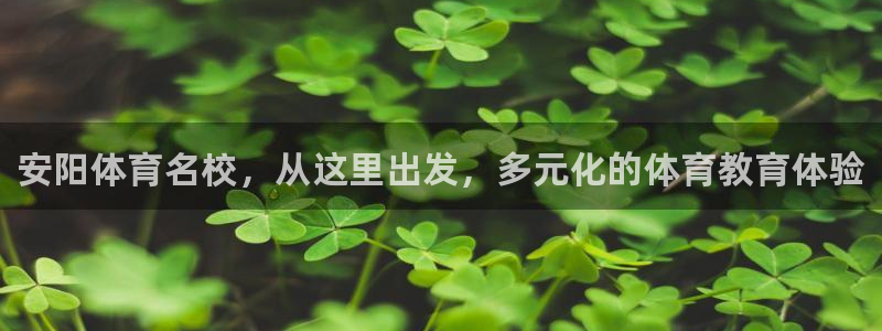 利记官网下载招商：安阳体育名校，从这里出发，多元化的