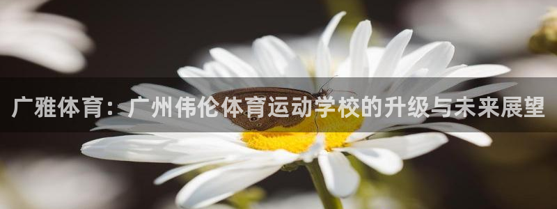 海南利记官网下载发展怎么样：广雅体育：广州伟伦体育运