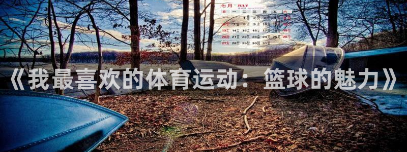 利记官方正版app开户：《我最喜欢的体育运动：篮球的魅力》