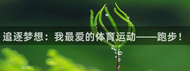 利记官网下载招商电话：追逐梦想：我最爱的体育运动——