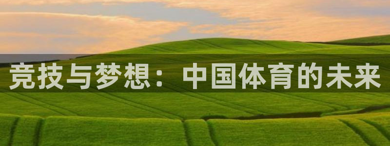 利记官方正版app集团E.ON：竞技与梦想：中国体育