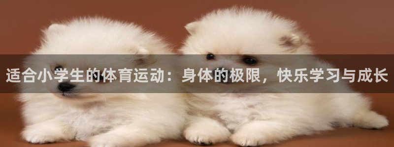 利记官网下载招商：适合小学生的体育运动：身体的极限，快乐学习