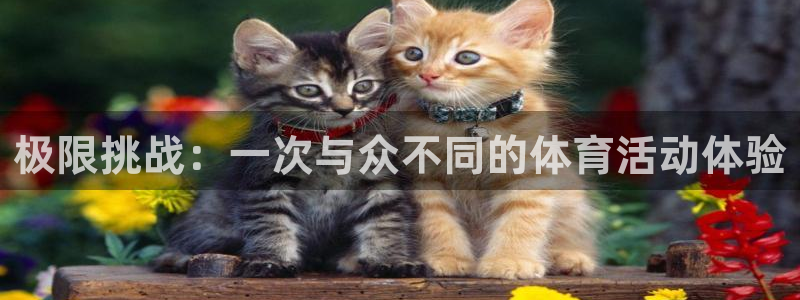 利记官网下载联系电话：极限挑战：一次与众不同的体育活