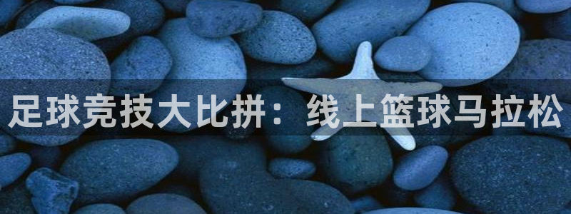 利记官网下载平台注册：足球竞技大比拼：线上篮球马拉松