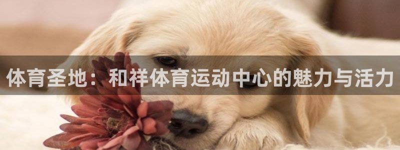 利记官网下载联系电话：体育圣地：和祥体育运动中心的魅