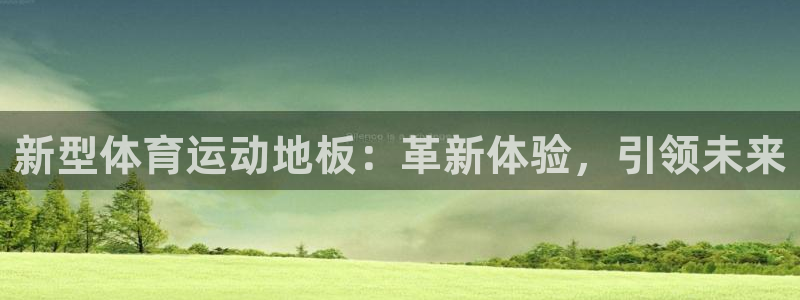 利记官方正版app集团E.ON：新型体育运动地板：革