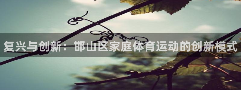 利记官网下载招商电话号码查询：复兴与创新：邯山区家庭