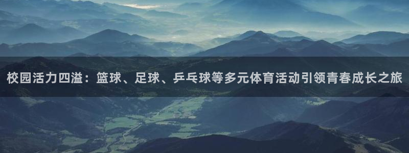 利记官方正版app集团E.ON：校园活力四溢：篮球、
