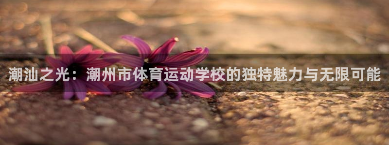 利记官网下载平台假的吗是真的吗吗：潮汕之光：潮州市体