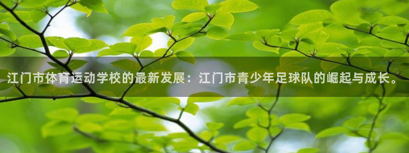 海南利记官网下载发展怎么样：江门市体育运动学校的最新