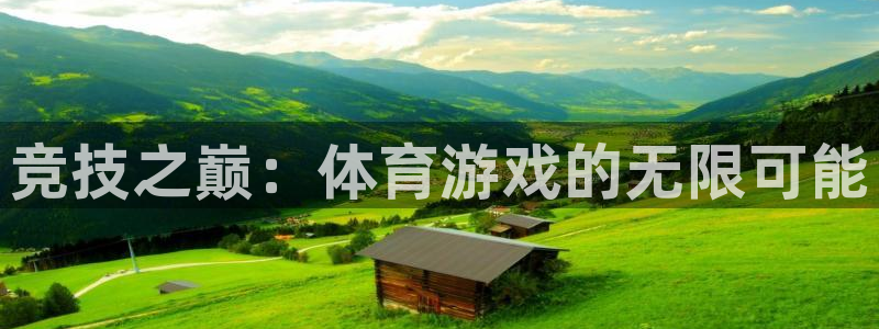 利记官方正版app娱乐代理怎么样：竞技之巅：体育游戏的无限可