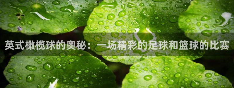 利记官方正版app娱乐下载：英式橄榄球的奥秘：一场精