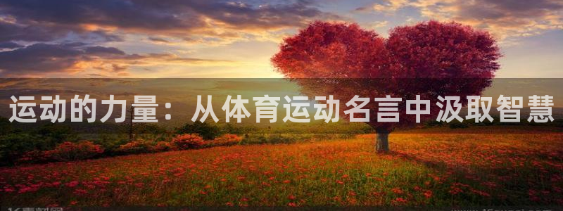 利记官方正版app娱乐40996：运动的力量：从体育