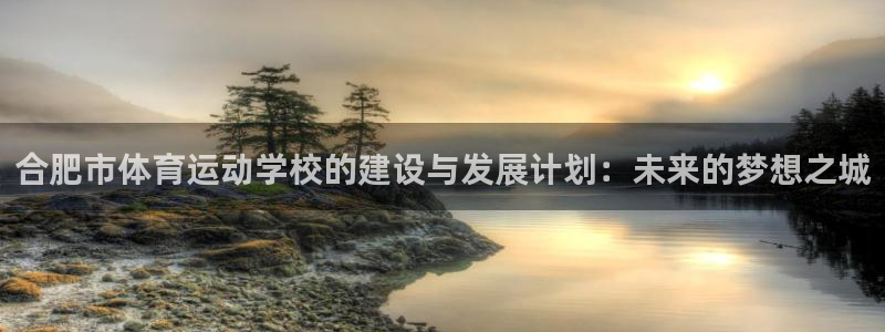 利记官网下载平台注册流程图：合肥市体育运动学校的建设与发展计