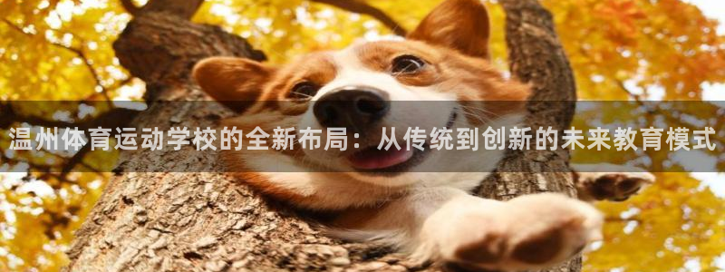 利记官网下载招商电话号码：温州体育运动学校的全新布局：从传统