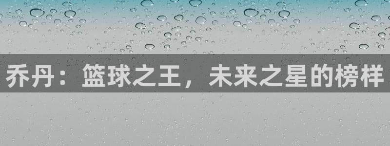利记官方正版app官网：乔丹：篮球之王，未来之星的榜样