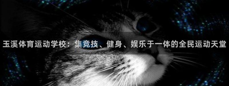 利记的开盘特点：玉溪体育运动学校：集
