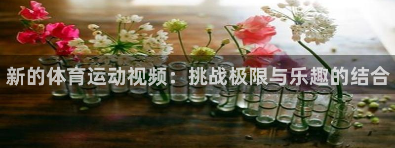 利记轮渡：新的体育运动视频：挑战极限