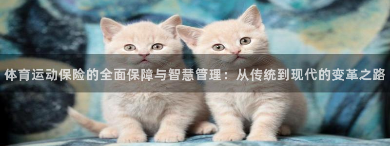 利记365：体育运动保险的全面保障与