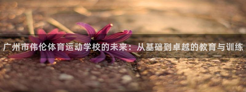 利记官网登录入口：广州市伟伦体育运动