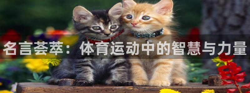 利记官网登录入口：名言荟萃：体育运动中的智慧与力量