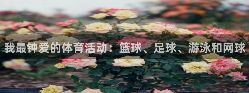 利记官方是什么：我最钟爱的体育活动：篮球、足球、游泳和网球