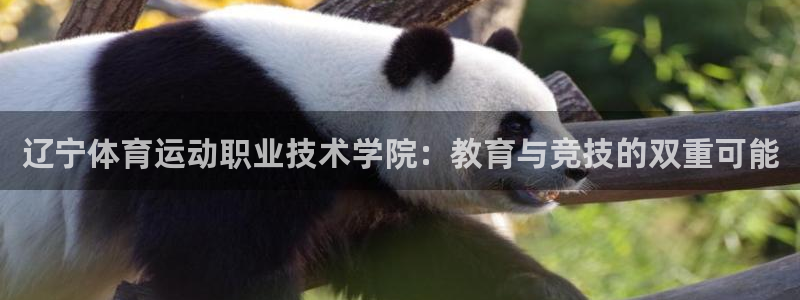 利记SBOBET网页版：辽宁体育运动