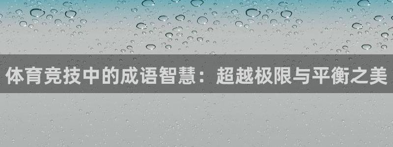 利记官网备用网址：体育竞技中的成语智